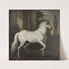 Karl XI’s horse Brilliant (1680) by David Klöcker Ehrenstrahl