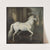 Karl XI’s horse Brilliant (1680) by David Klöcker Ehrenstrahl