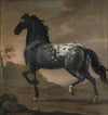 Karl XI’s livhÃ¤st BlÃ¥ Tigern