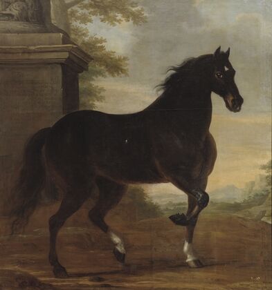 Karl XI’s livhÃ¤st Tott