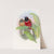 Kasumba Trogon by John Gould