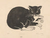 Kat (1880 - 1946)