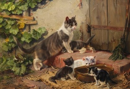 Katzenfamilie am Milchnapf