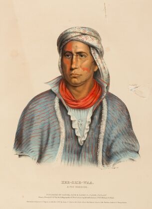 Kee-She-Waa. A Fox Warrior