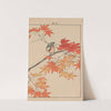 Keinen kachō gafu Pl.006 (1891) by Imao Keinen