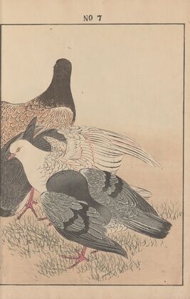 Keinen kachō gafu Pl.008