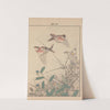 Keinen kachō gafu Pl.014 (1891) by Imao Keinen
