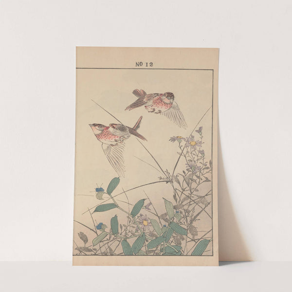 Keinen kachō gafu Pl.014 (1891) by Imao Keinen