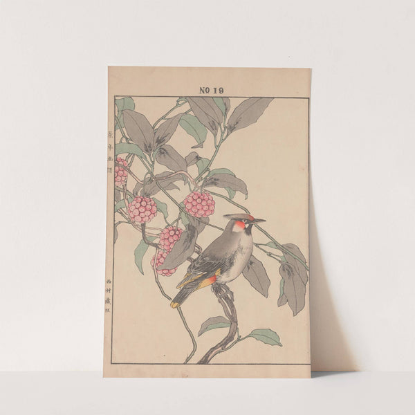 Keinen kachō gafu Pl.021 (1891) by Imao Keinen