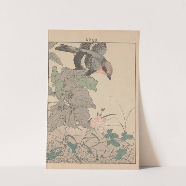 Keinen kachō gafu Pl.032 (1891) by Imao Keinen