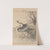 Keinen kachō gafu Pl.034 (1891) by Imao Keinen