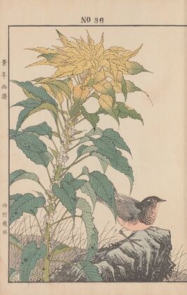 Keinen kachō gafu Pl.039