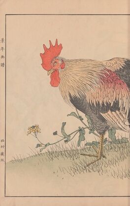 Keinen kachō gafu Pl.065