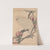 Keinen kachō gafu Pl.074 (1891) by Imao Keinen