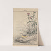 Keinen kachō gafu Pl.094 (1891) by Imao Keinen