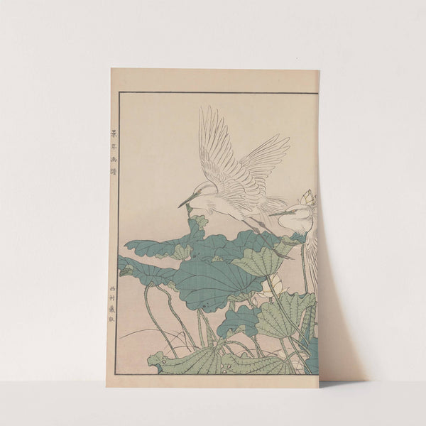 Keinen kachō gafu Pl.101 (1891) by Imao Keinen