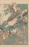 Keinen kachō gafu Pl.114