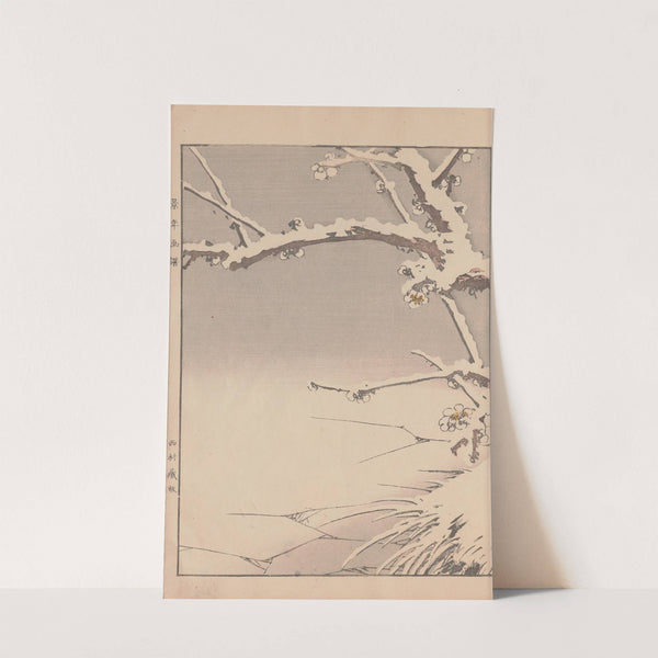 Keinen kachō gafu Pl.125 (1891) by Imao Keinen