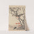 Keinen kachō gafu Pl.126 (1891) by Imao Keinen