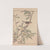 Keinen kachō gafu Pl.129 (1891) by Imao Keinen