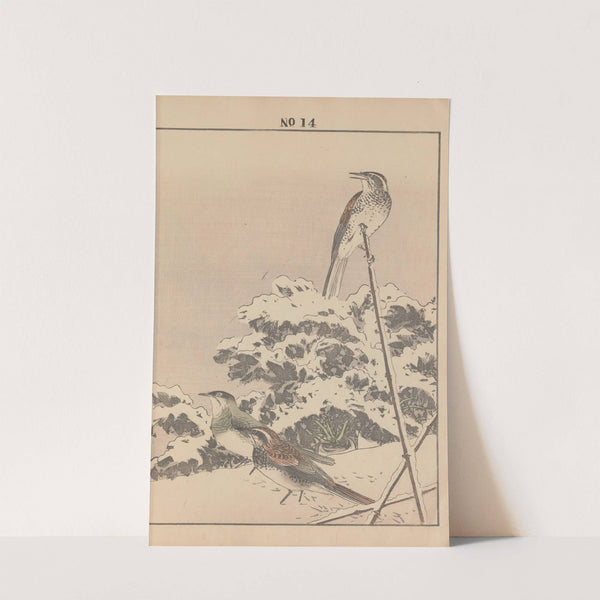 Keinen kachō gafu Pl.138 (1891) by Imao Keinen
