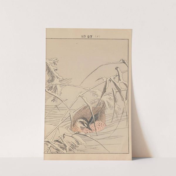 Keinen kachō gafu Pl.152 (1891) by Imao Keinen