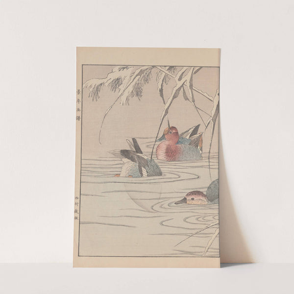 Keinen kachō gafu Pl.155 (1891) by Imao Keinen