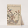 Keinen kachō gafu Pl.162 (1891) by Imao Keinen