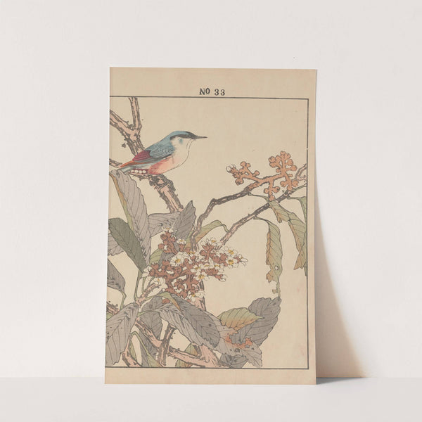 Keinen kachō gafu Pl.162 (1891) by Imao Keinen