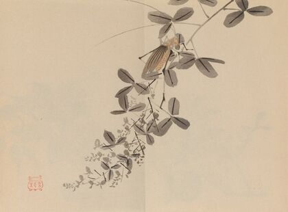 Keinen shūgajō Pl.40