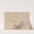 Keinen shūgajō Pl.52 (1906) by Imao Keinen