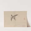 Keinen shūgajō Pl.60 (1906) by Imao Keinen