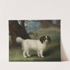 King Charles Spaniel by Samuel Spode