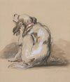 King Charles Spaniel (1835)