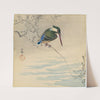 Kingfisher (1920) by Ohara Koson