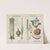Kitchen vegetables and roots (Celery, Onion, Asparagus, Potato) by Charlotte Mary Yonge