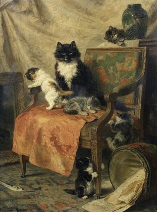 Kittens At Play