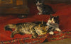 Kittens