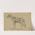 Kitty. Edwin Forbe&#039;s mare that he rode from 1862-1865 by Edwin Forbes