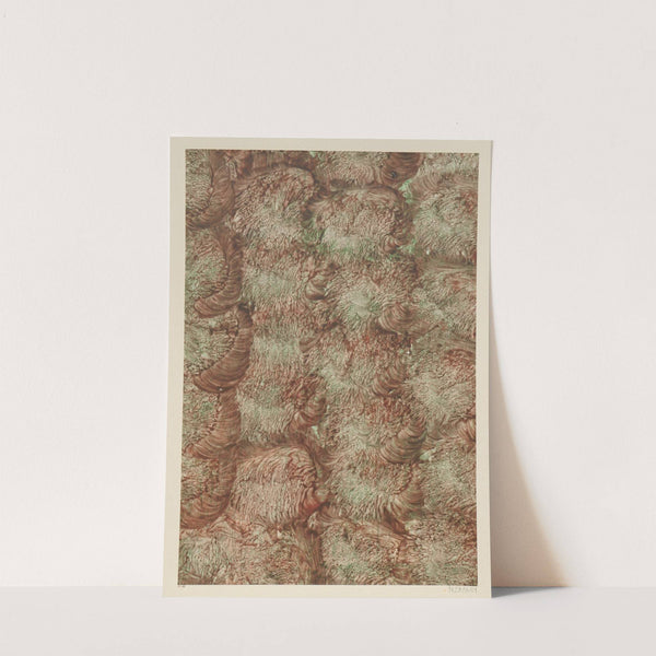 Kleisterpapier (1885 - 1907) by Gertrud Morawe