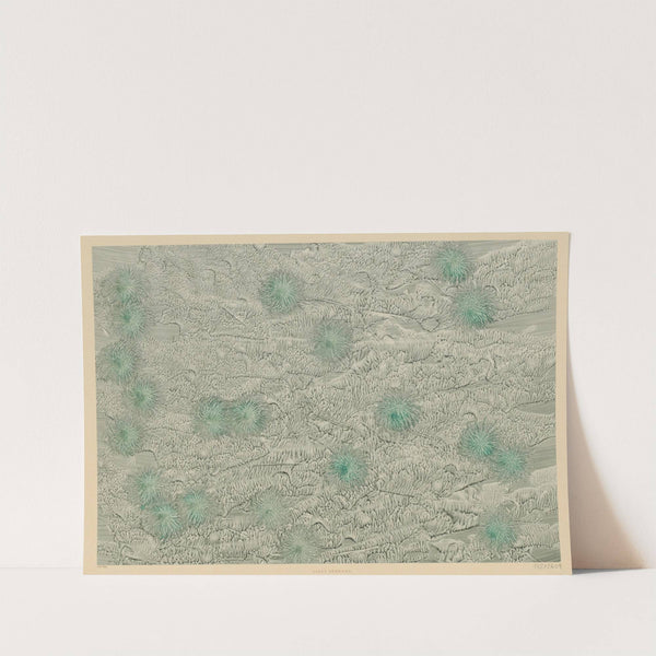 Kleisterpapier (mit Blütenmotiven) (1900) by Lilli Behrens