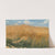 Kłosy (Field and cereal studies) by Włodzimierz Tetmajer