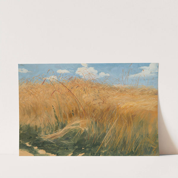 Kłosy (Field and cereal studies) by Włodzimierz Tetmajer