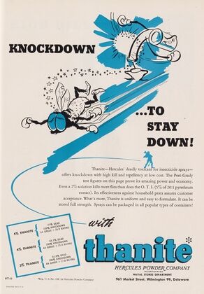 Knockdown…to Stay Down!