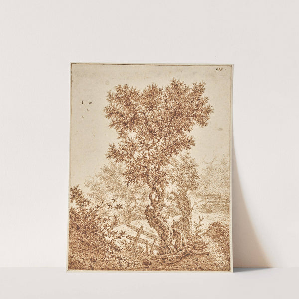 Knotty Old Tree in the Dunes with a Fence by Claes van Beresteyn