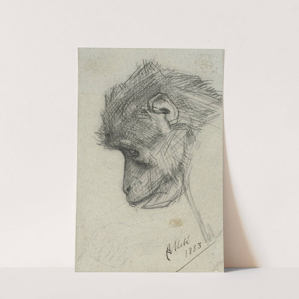 Kop van een aap by August Allebé