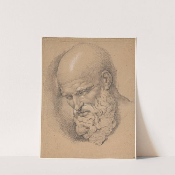 Kop van een grijsaard by David Humbert de Superville