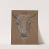 Kop van een Zebu, van voren (1866) by Bernard Willem Wierink