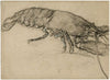 Kreeft