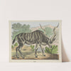 Kudu (1829-1880) by Joseph Scholz